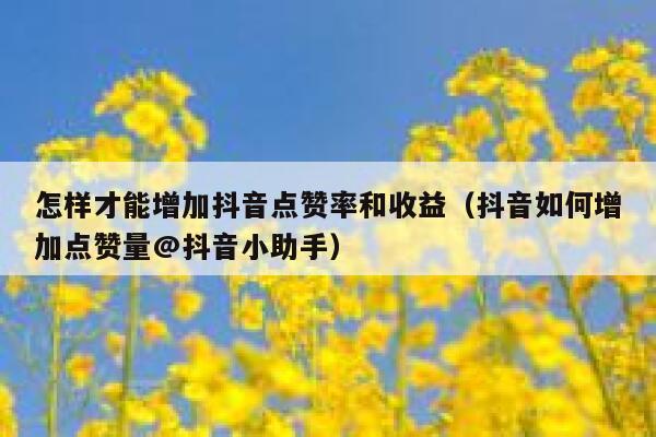 怎样才能增加抖音点赞率和收益（抖音如何增加点赞量@抖音小助手） 第1张