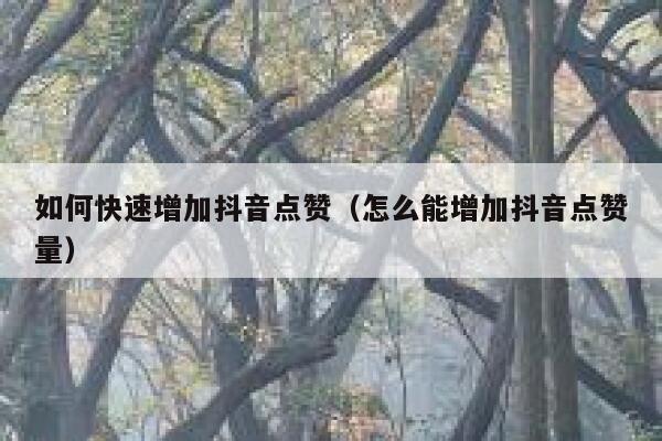 如何快速增加抖音点赞（怎么能增加抖音点赞量） 第1张