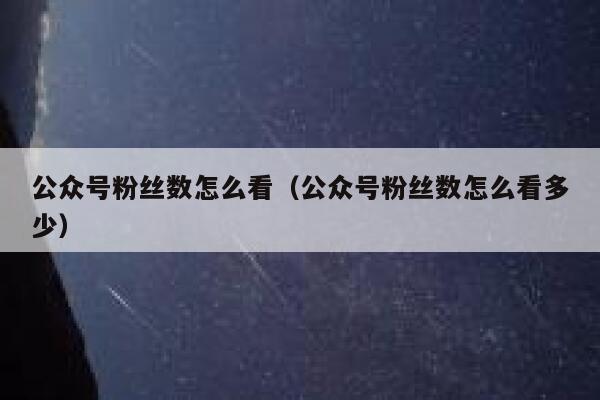 公众号粉丝数怎么看（公众号粉丝数怎么看多少） 第1张