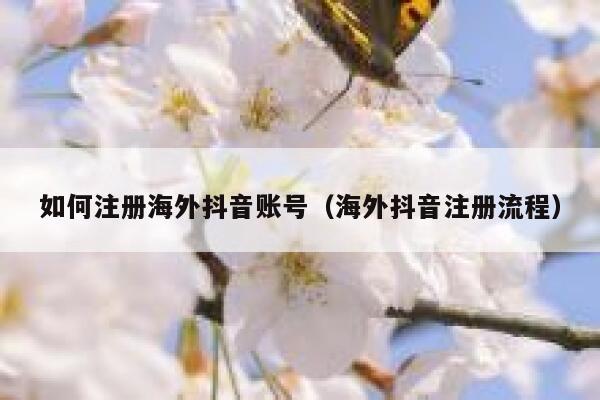 如何注册海外抖音账号（海外抖音注册流程） 第1张