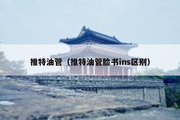 推特油管（推特油管脸书ins区别） 第1张