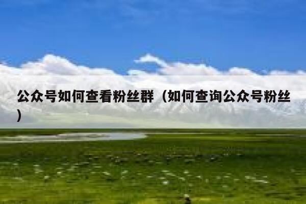 公众号如何查看粉丝群（如何查询公众号粉丝） 第1张