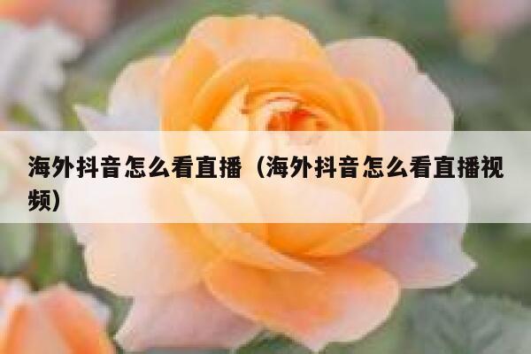 海外抖音怎么看直播（海外抖音怎么看直播视频） 第1张
