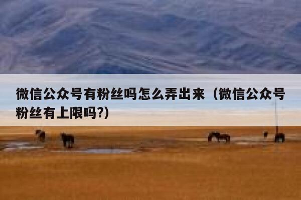 微信公众号有粉丝吗怎么弄出来（微信公众号粉丝有上限吗?） 第1张