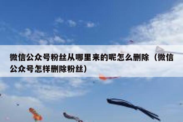 微信公众号粉丝从哪里来的呢怎么删除（微信公众号怎样删除粉丝） 第1张