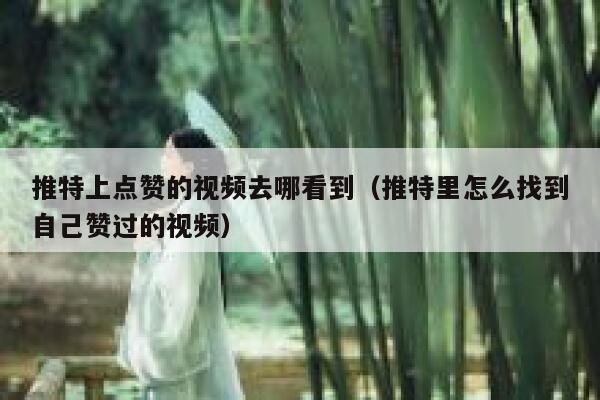 推特上点赞的视频去哪看到（推特里怎么找到自己赞过的视频） 第1张
