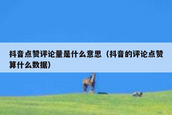 抖音点赞评论量是什么意思（抖音的评论点赞算什么数据） 第1张
