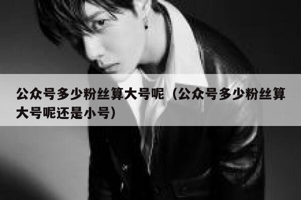 公众号多少粉丝算大号呢（公众号多少粉丝算大号呢还是小号） 第1张