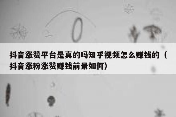 抖音涨赞平台是真的吗知乎视频怎么赚钱的（抖音涨粉涨赞赚钱前景如何） 第1张