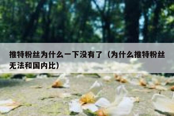 推特粉丝为什么一下没有了（为什么推特粉丝无法和国内比） 第1张