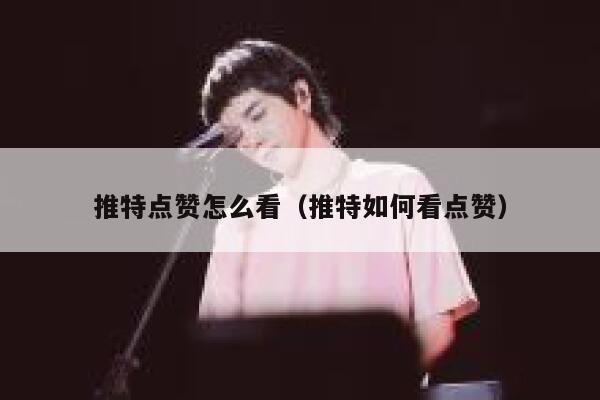 推特点赞怎么看（推特如何看点赞） 第1张
