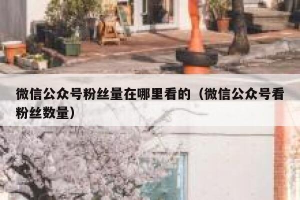 微信公众号粉丝量在哪里看的（微信公众号看粉丝数量） 第1张