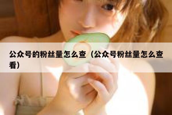 公众号的粉丝量怎么查（公众号粉丝量怎么查看） 第1张