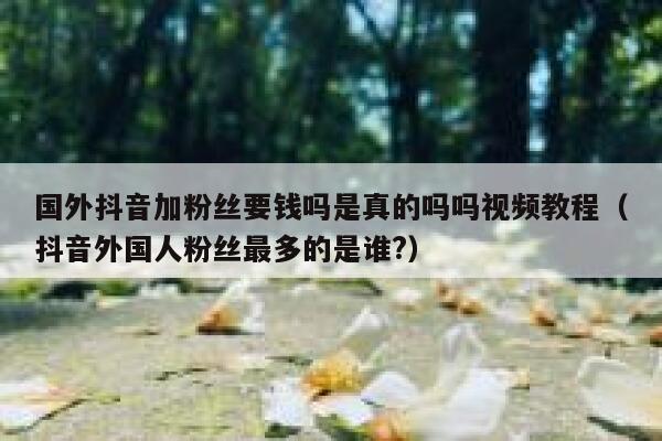 国外抖音加粉丝要钱吗是真的吗吗视频教程（抖音外国人粉丝最多的是谁?） 第1张