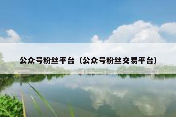 公众号粉丝平台（公众号粉丝交易平台） 第1张