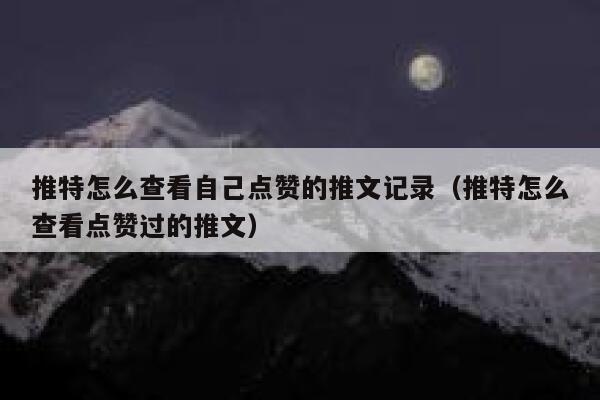 推特怎么查看自己点赞的推文记录（推特怎么查看点赞过的推文） 第1张