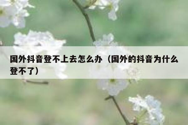 国外抖音登不上去怎么办（国外的抖音为什么登不了） 第1张