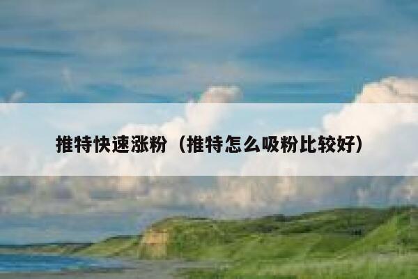 推特快速涨粉（推特怎么吸粉比较好） 第1张