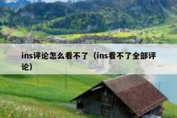 ins评论怎么看不了（ins看不了全部评论） 第1张