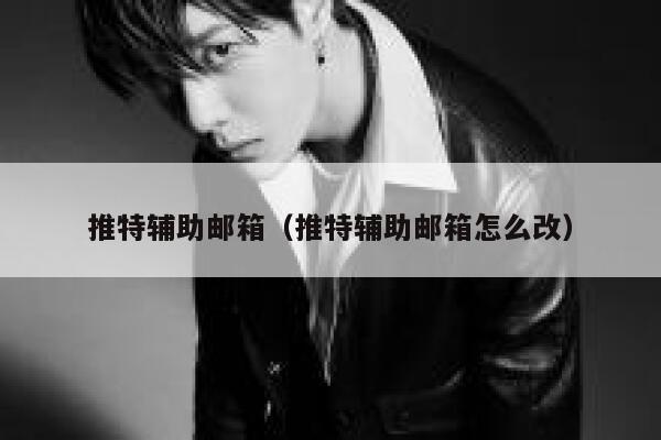 推特辅助邮箱（推特辅助邮箱怎么改） 第1张