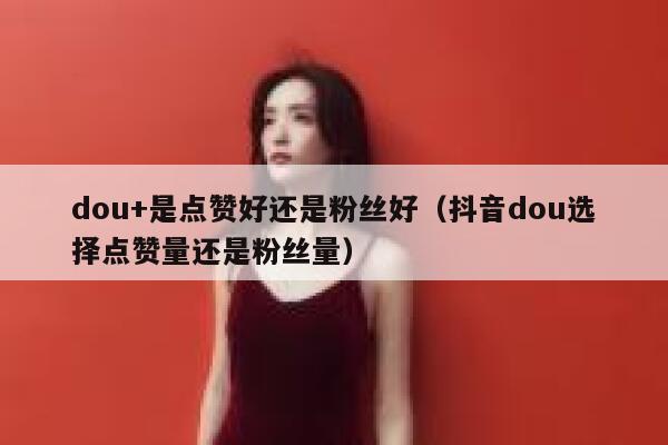 dou+是点赞好还是粉丝好（抖音dou选择点赞量还是粉丝量） 第1张