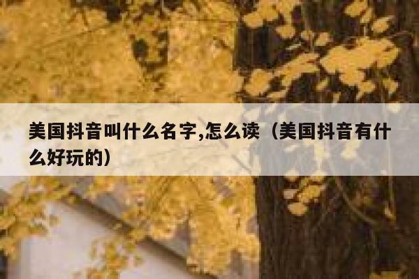 美国抖音叫什么名字,怎么读（美国抖音有什么好玩的） 第1张