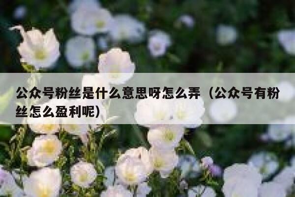 公众号粉丝是什么意思呀怎么弄（公众号有粉丝怎么盈利呢） 第1张