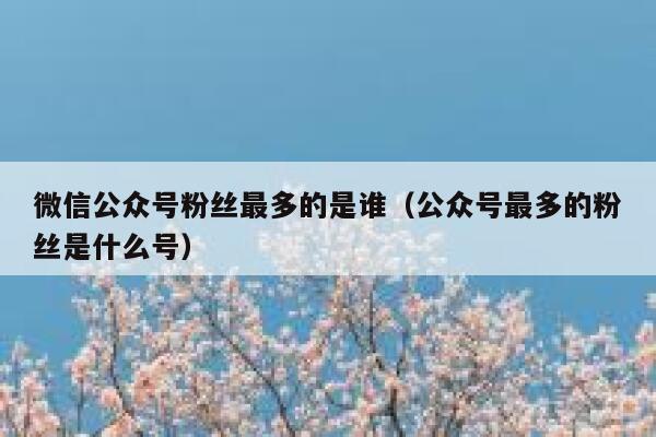 微信公众号粉丝最多的是谁（公众号最多的粉丝是什么号） 第1张