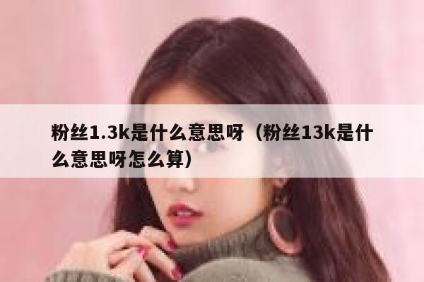 粉丝1.3k是什么意思呀（粉丝13k是什么意思呀怎么算） 第1张