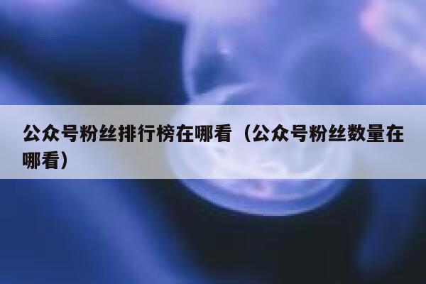 公众号粉丝排行榜在哪看（公众号粉丝数量在哪看） 第1张