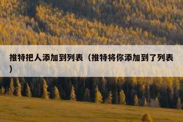 推特把人添加到列表（推特将你添加到了列表） 第1张