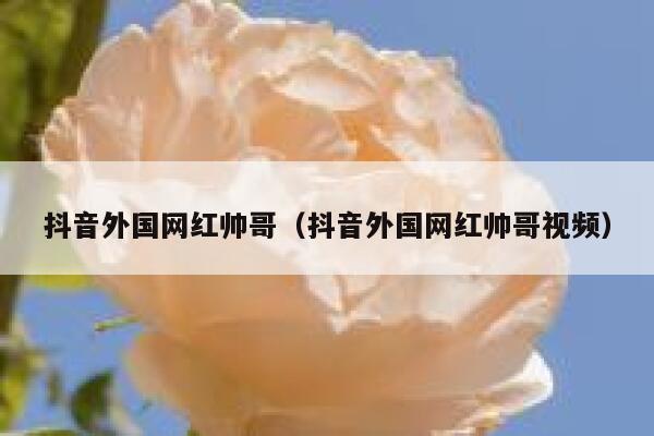 抖音外国网红帅哥（抖音外国网红帅哥视频） 第1张