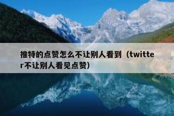 推特的点赞怎么不让别人看到（twitter不让别人看见点赞） 第1张
