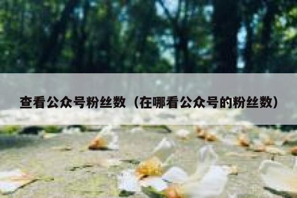 查看公众号粉丝数（在哪看公众号的粉丝数） 第1张
