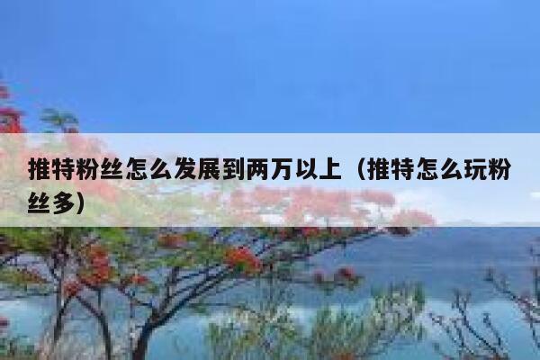 推特粉丝怎么发展到两万以上（推特怎么玩粉丝多） 第1张