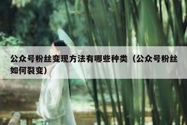公众号粉丝变现方法有哪些种类（公众号粉丝如何裂变） 第1张