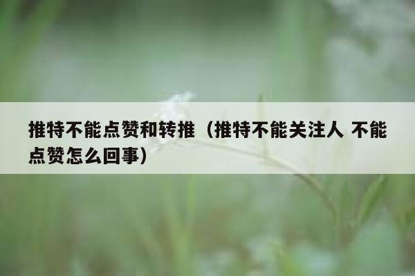 推特不能点赞和转推（推特不能关注人 不能点赞怎么回事） 第1张