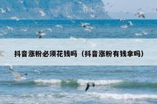 抖音涨粉必须花钱吗（抖音涨粉有钱拿吗） 第1张