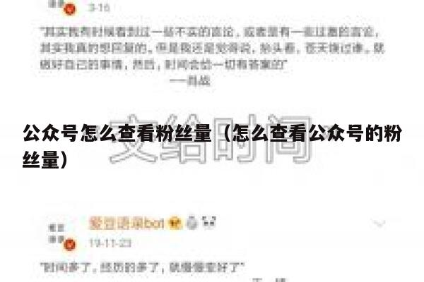 公众号怎么查看粉丝量（怎么查看公众号的粉丝量） 第1张