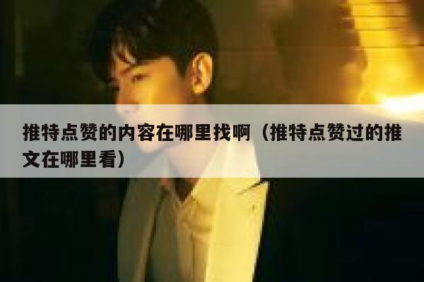 推特点赞的内容在哪里找啊（推特点赞过的推文在哪里看） 第1张