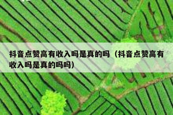 抖音点赞高有收入吗是真的吗（抖音点赞高有收入吗是真的吗吗） 第1张