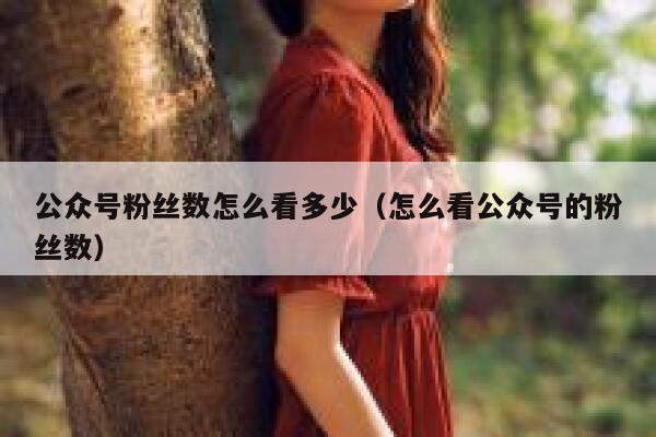 公众号粉丝数怎么看多少（怎么看公众号的粉丝数） 第1张