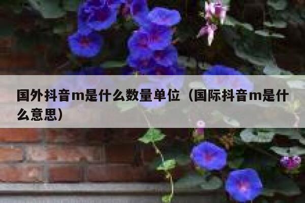 国外抖音m是什么数量单位（国际抖音m是什么意思） 第1张