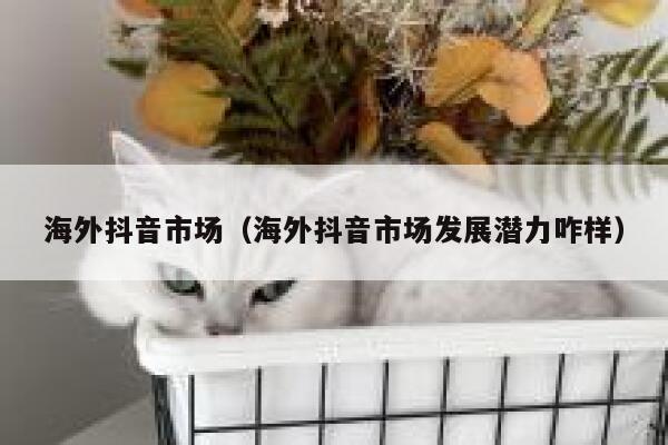 海外抖音市场（海外抖音市场发展潜力咋样） 第1张