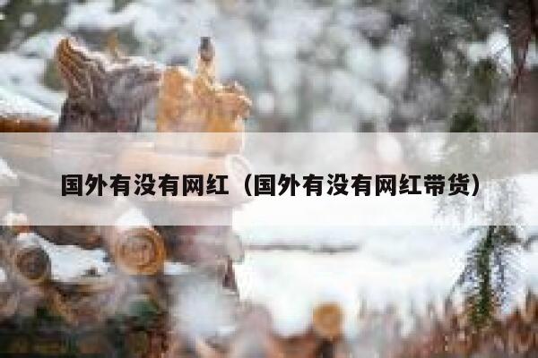 国外有没有网红（国外有没有网红带货） 第1张