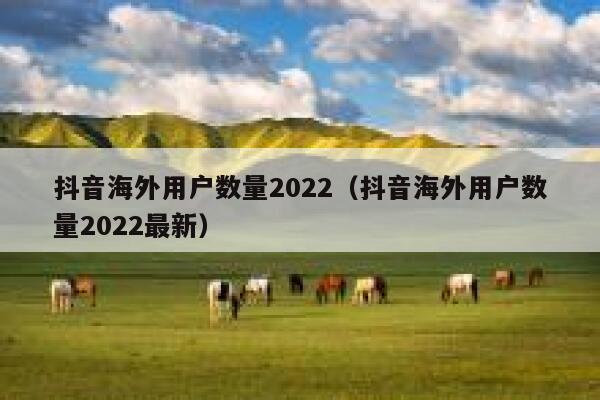 抖音海外用户数量2022（抖音海外用户数量2022最新） 第1张
