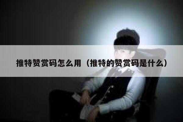 推特赞赏码怎么用（推特的赞赏码是什么） 第1张