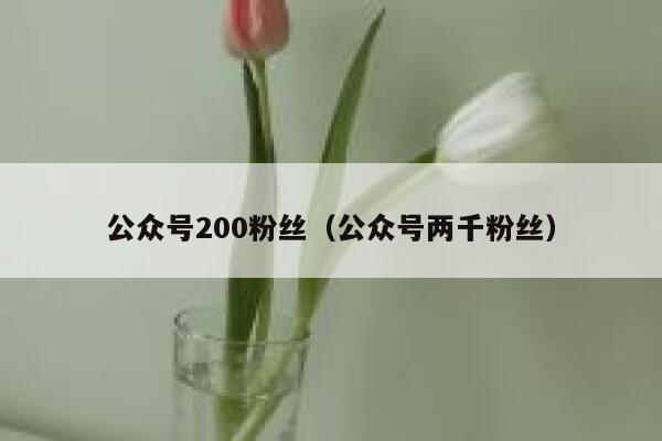 公众号200粉丝（公众号两千粉丝） 第1张