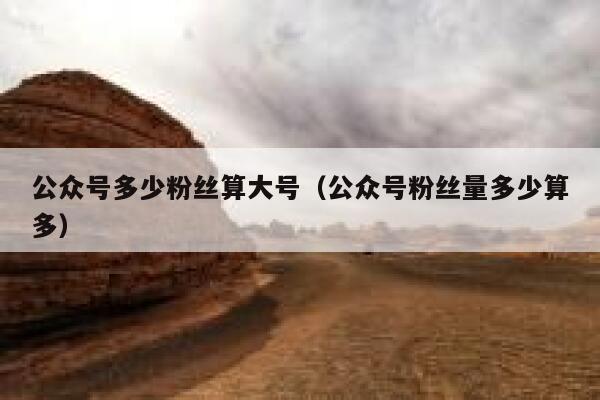 公众号多少粉丝算大号（公众号粉丝量多少算多） 第1张