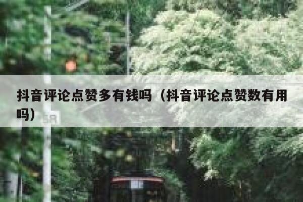 抖音评论点赞多有钱吗（抖音评论点赞数有用吗） 第1张